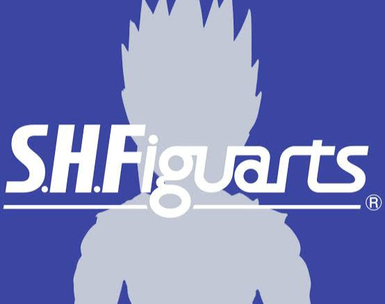 S.H. Figuarts