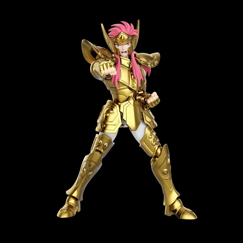 Saint Seiya Champion Class 08 Aquarius Camus [Blokees]