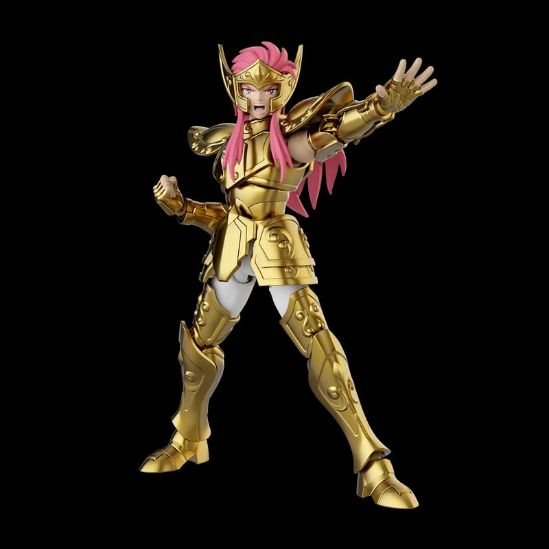 Saint Seiya Champion Class 08 Aquarius Camus [Blokees]