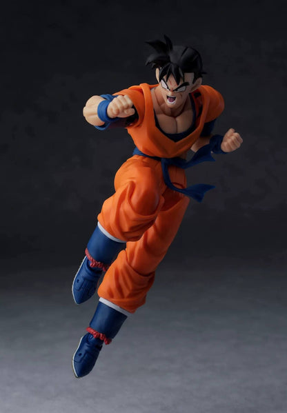HA Toys Gohan del Futuro Z001