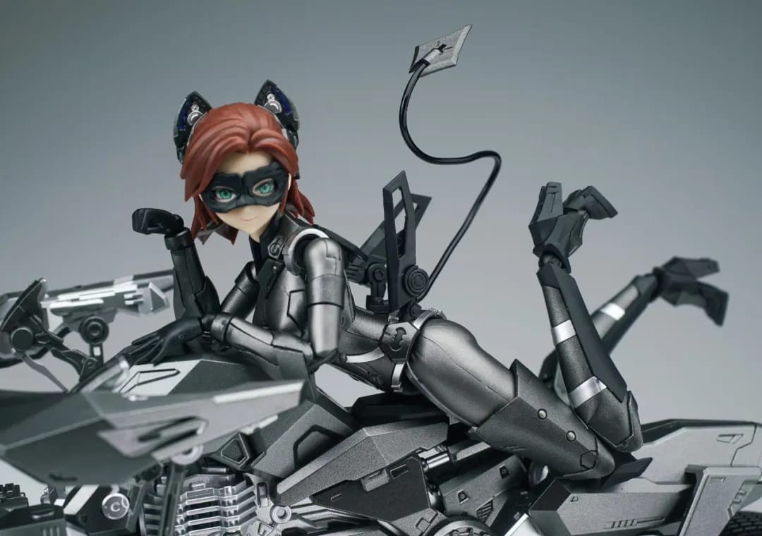 MS General DC-02 Catwoman