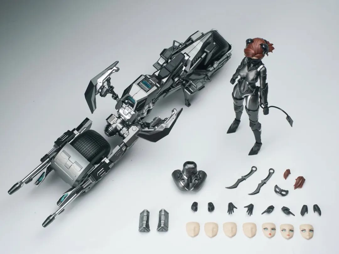 MS General DC-02 Catwoman
