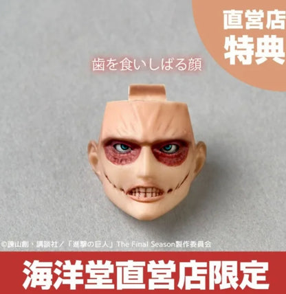 Amazing Yamaguchi - Revoltech - Titán Hembra [Female Titan]