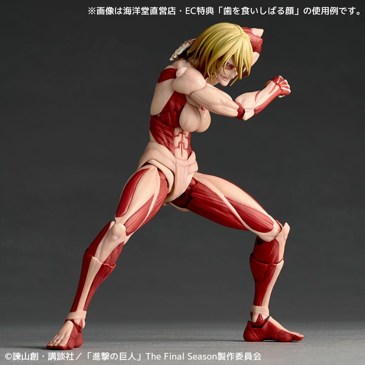 Amazing Yamaguchi - Revoltech - Titán Hembra [Female Titan]