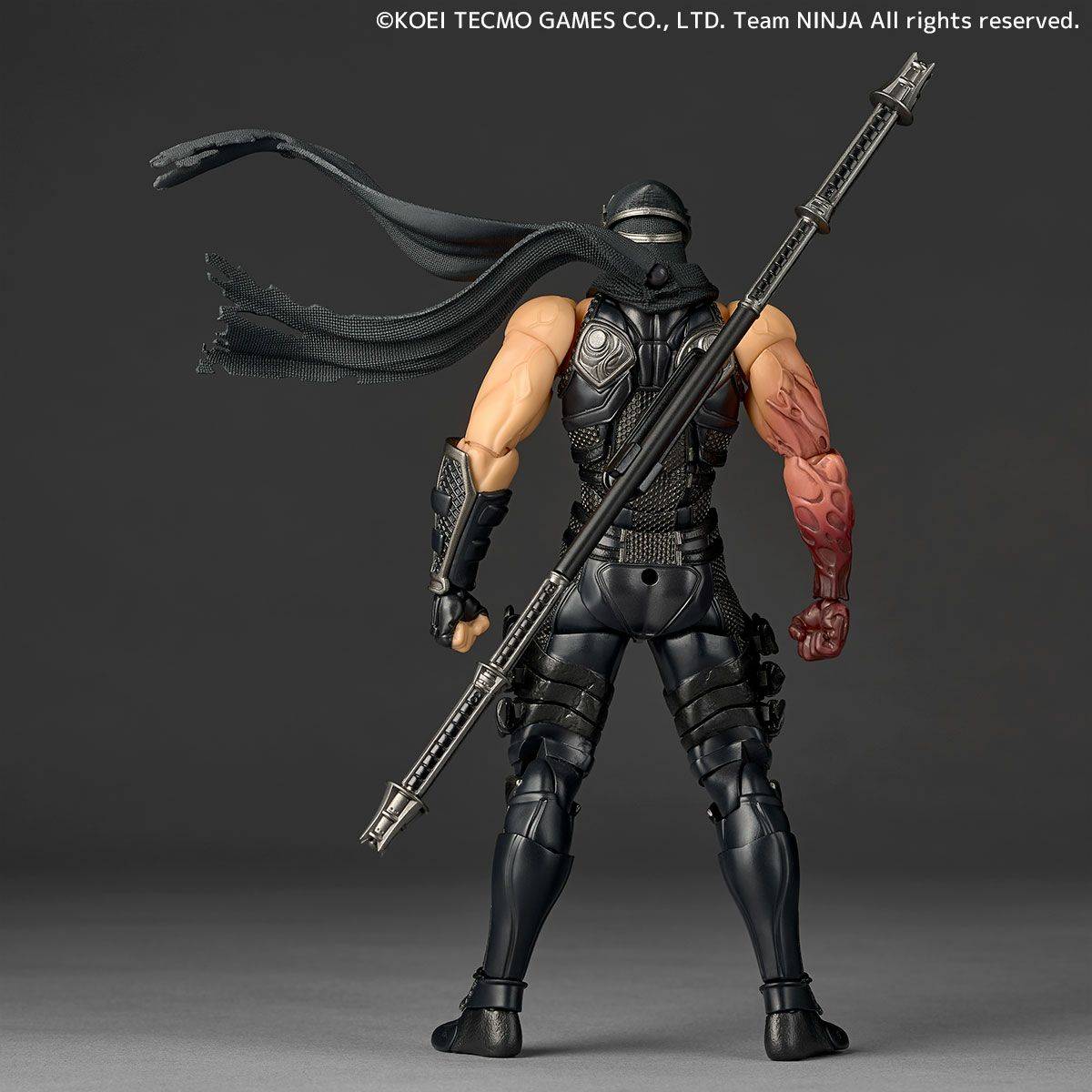 Amazing Yamaguchi Revoltech  Ryu Hayabusa - Ninja Gaiden 3 + Bonus