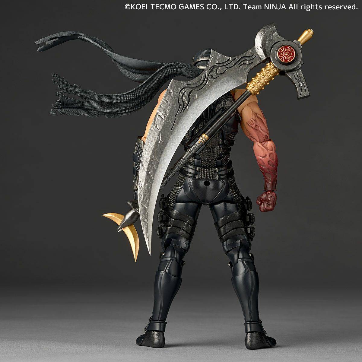 Amazing Yamaguchi Revoltech  Ryu Hayabusa - Ninja Gaiden 3 + Bonus