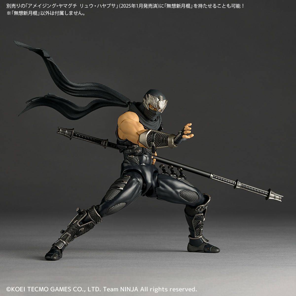 Amazing Yamaguchi Revoltech  Ryu Hayabusa - Ninja Gaiden 3 + Bonus