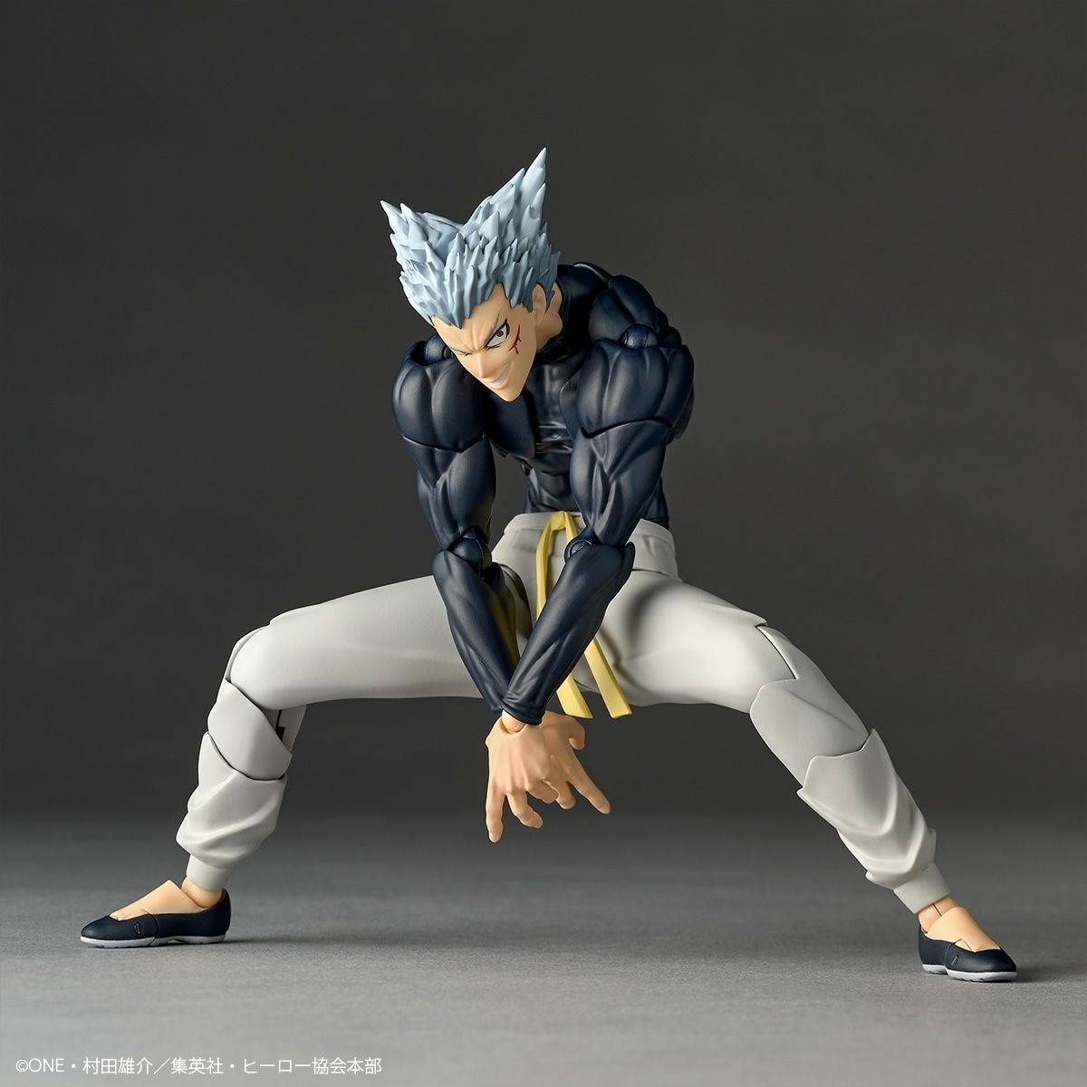 Amazing Yamaguchi - Revoltech - Garou + Bonus [One Punch Man]