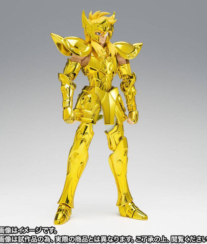 Myth Cloth EX Hyoga Acuario - Aquarius Golden Cloth