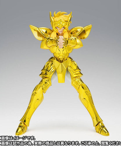 Myth Cloth EX Hyoga Acuario - Aquarius Golden Cloth