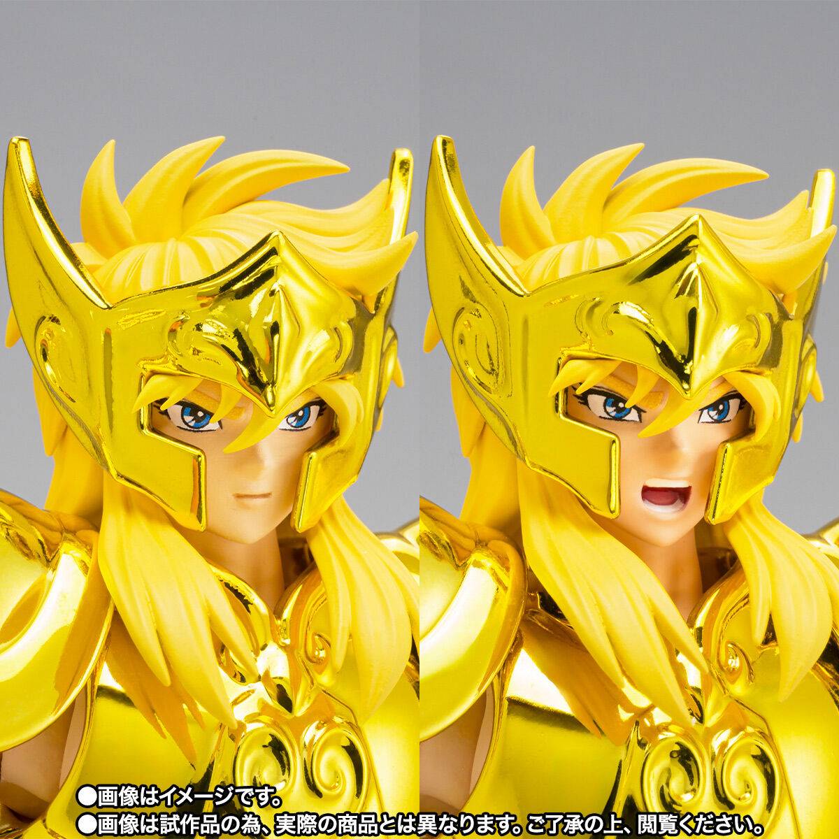 Myth Cloth EX Hyoga Acuario - Aquarius Golden Cloth