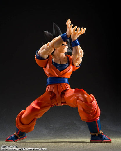 S.H. Figuarts Son Goku (Kind Hearted Saiyan)