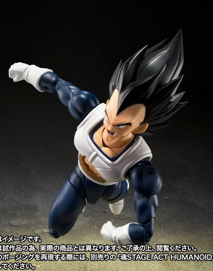 S.H. Figuarts Vegeta Old Clothes